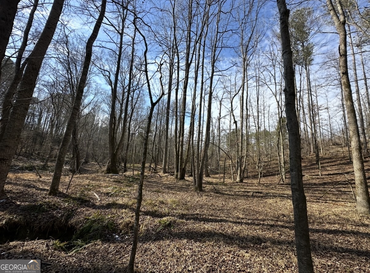 18 Turning Point Way Elberton, GA 30635 - Photo 53 of 73 a view of outdoor space with trees