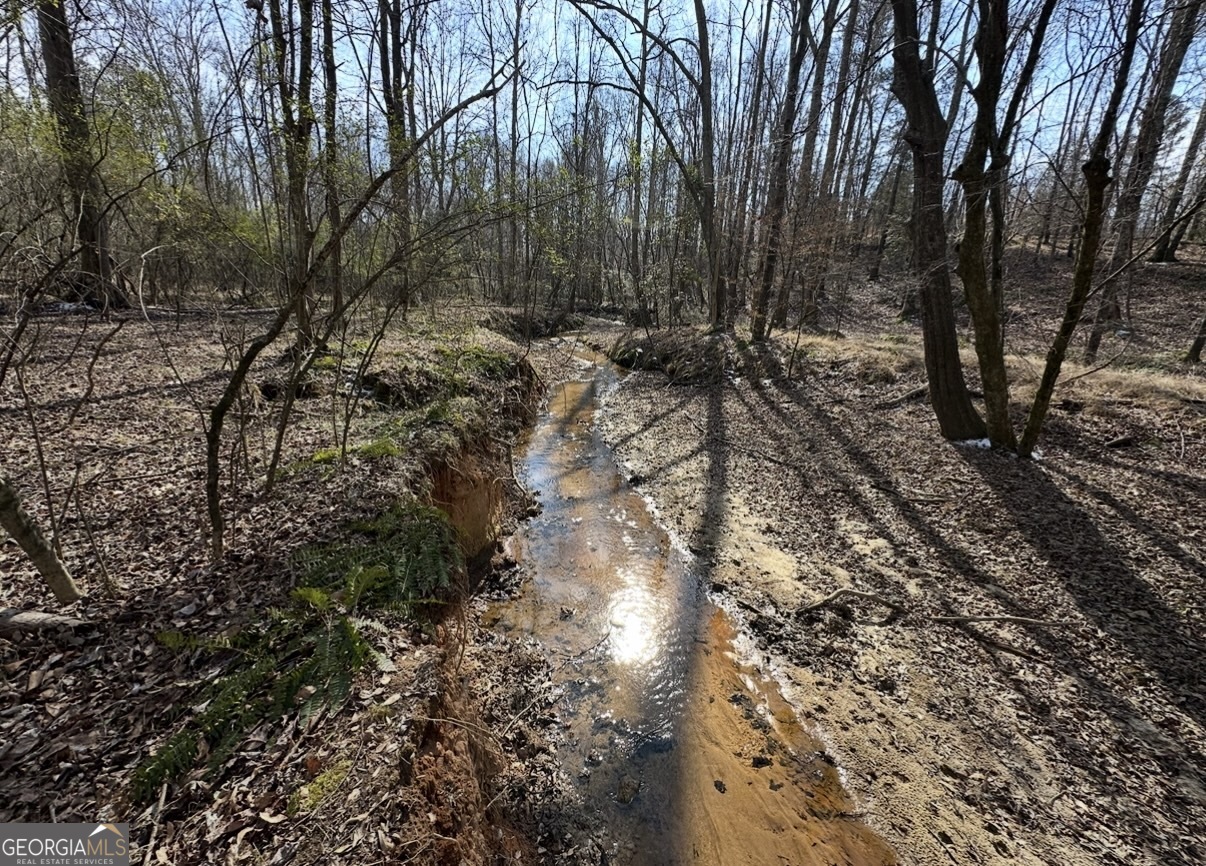 18 Turning Point Way Elberton, GA 30635 - Photo 55 of 73 a view of a forest with trees