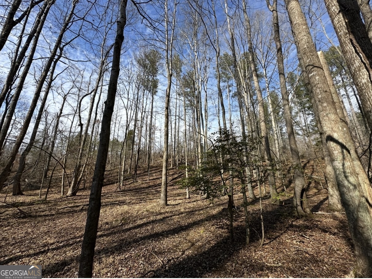 18 Turning Point Way Elberton, GA 30635 - Photo 55 of 75