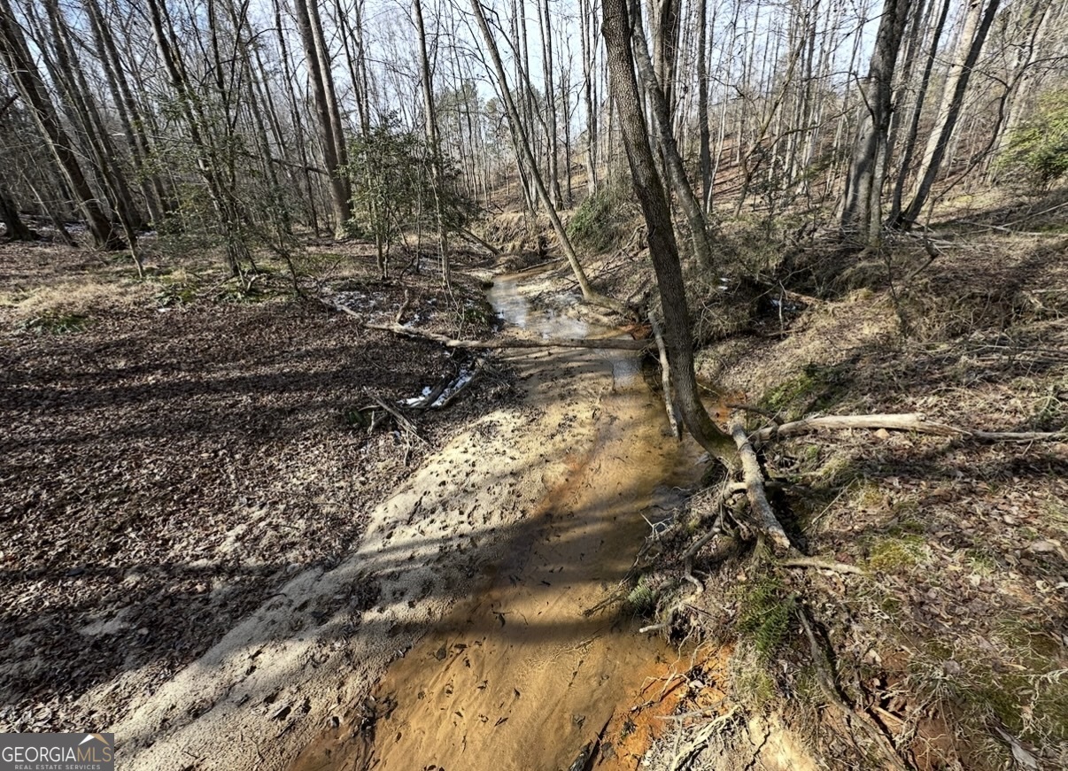 18 Turning Point Way Elberton, GA 30635 - Photo 57 of 75