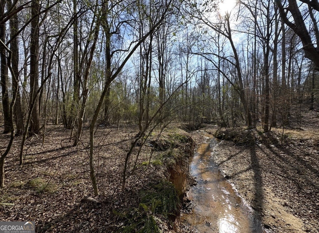 18 Turning Point Way Elberton, GA 30635 - Photo 59 of 75