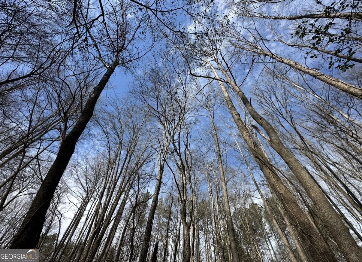 18 Turning Point Way Elberton, GA 30635 - Photo 59 of 73 a backyard of a house with lots of green space