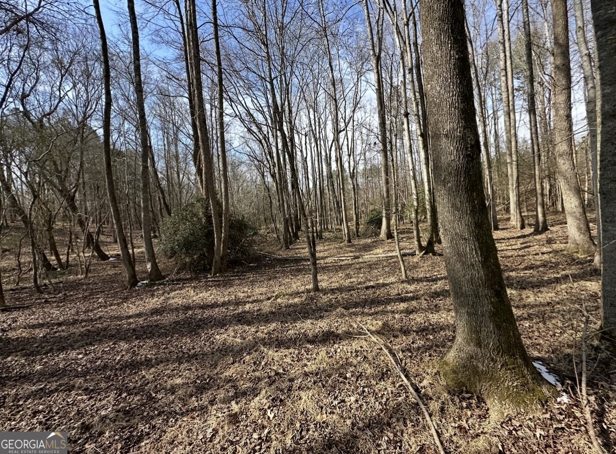 18 Turning Point Way Elberton, GA 30635 - Photo 60 of 73 a view of a backyard with large trees