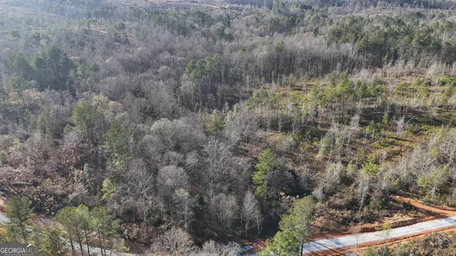 a view of a forest with a forest