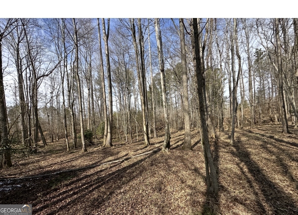 18 Turning Point Way Elberton, GA 30635 - Photo 61 of 73 a view of a backyard