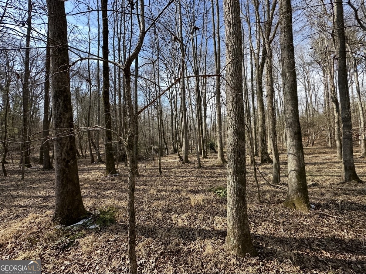 18 Turning Point Way Elberton, GA 30635 - Photo 62 of 73 a view of a forest covered with trees
