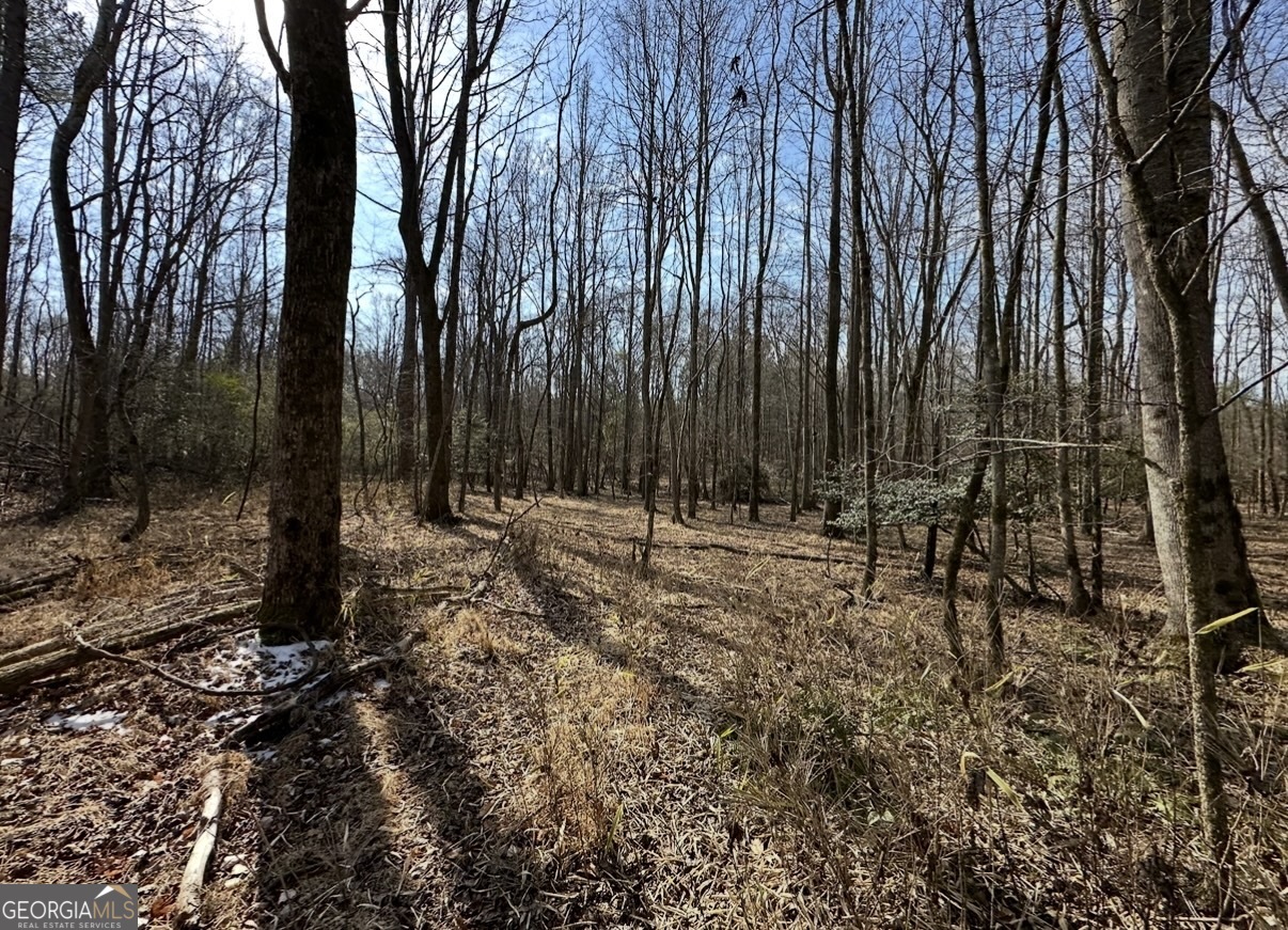 18 Turning Point Way Elberton, GA 30635 - Photo 63 of 73 a view of outdoor space with trees