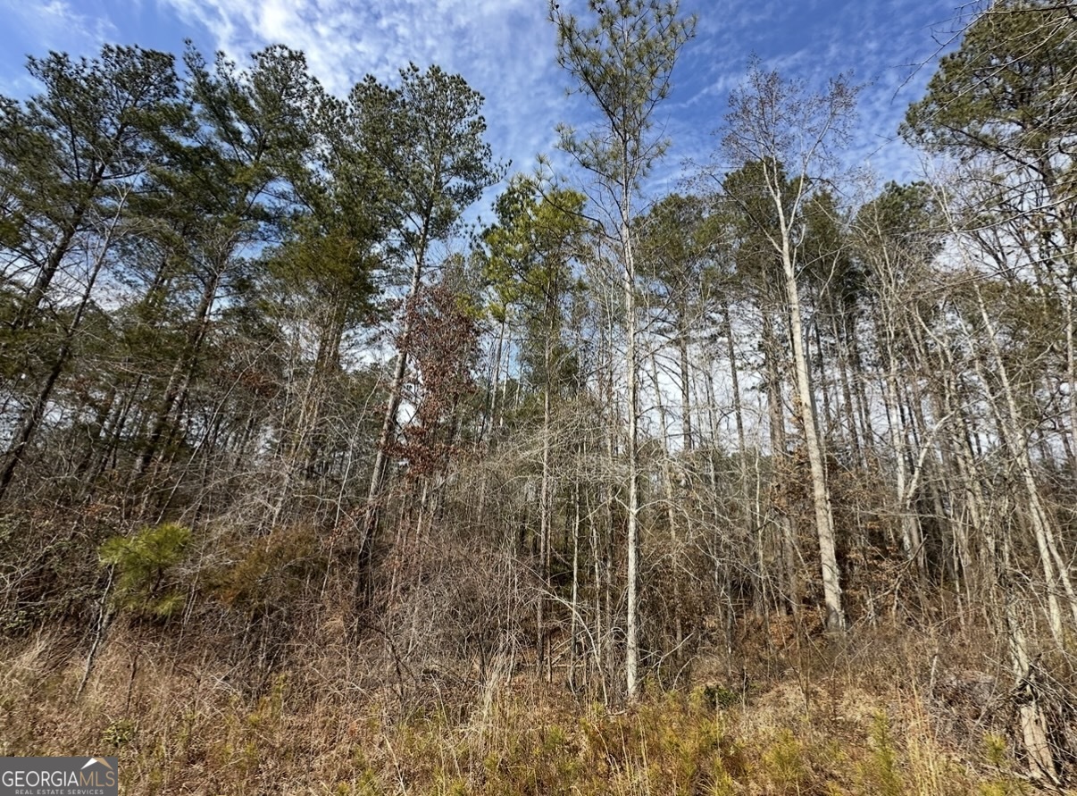 18 Turning Point Way Elberton, GA 30635 - Photo 65 of 75