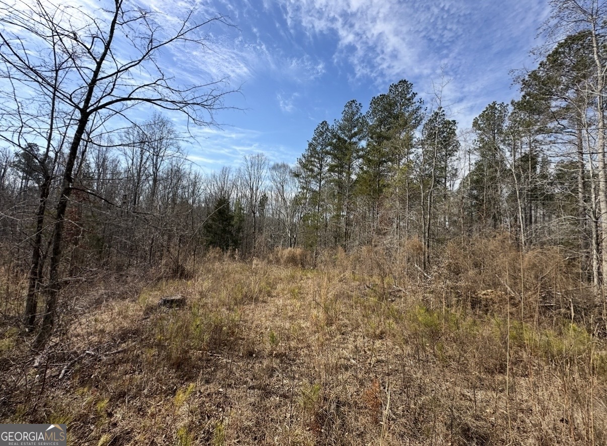 18 Turning Point Way Elberton, GA 30635 - Photo 66 of 75