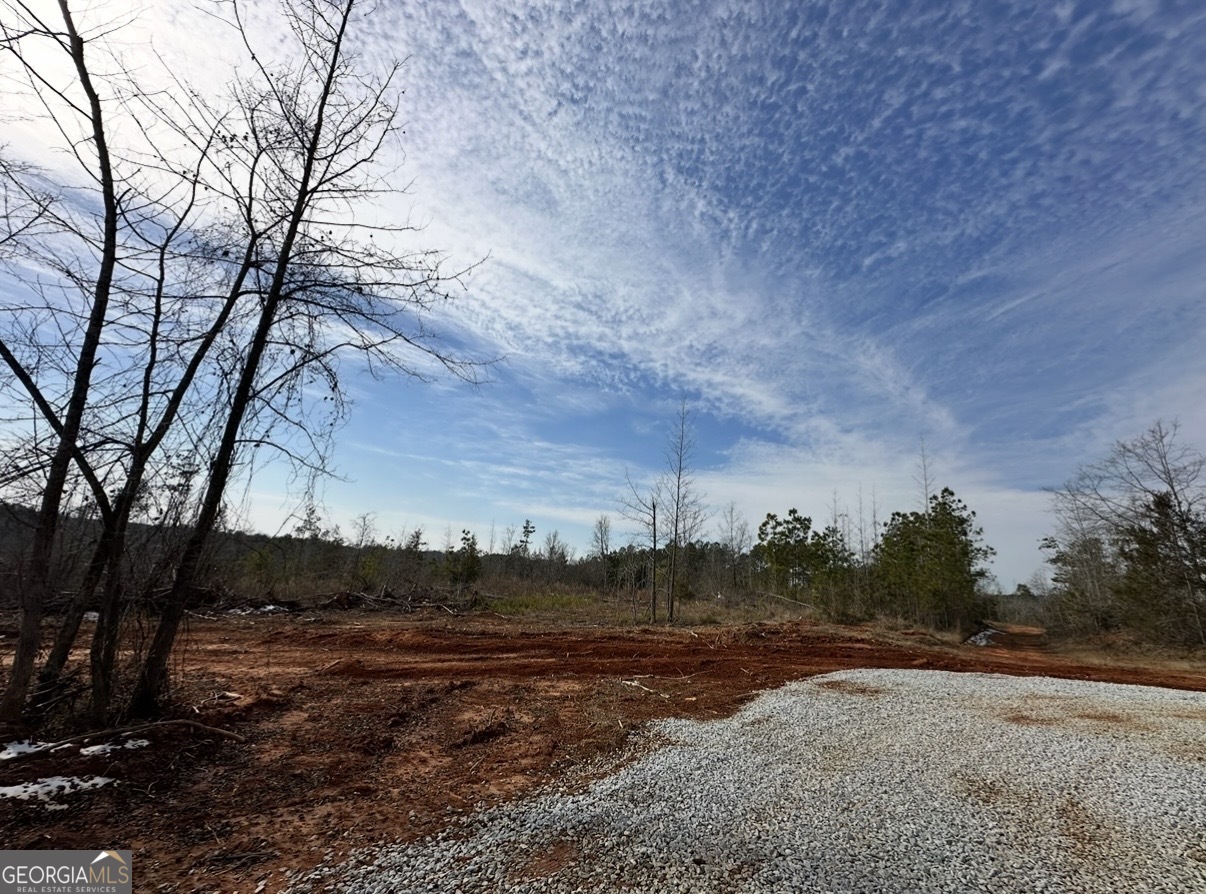 18 Turning Point Way Elberton, GA 30635 - Photo 67 of 75