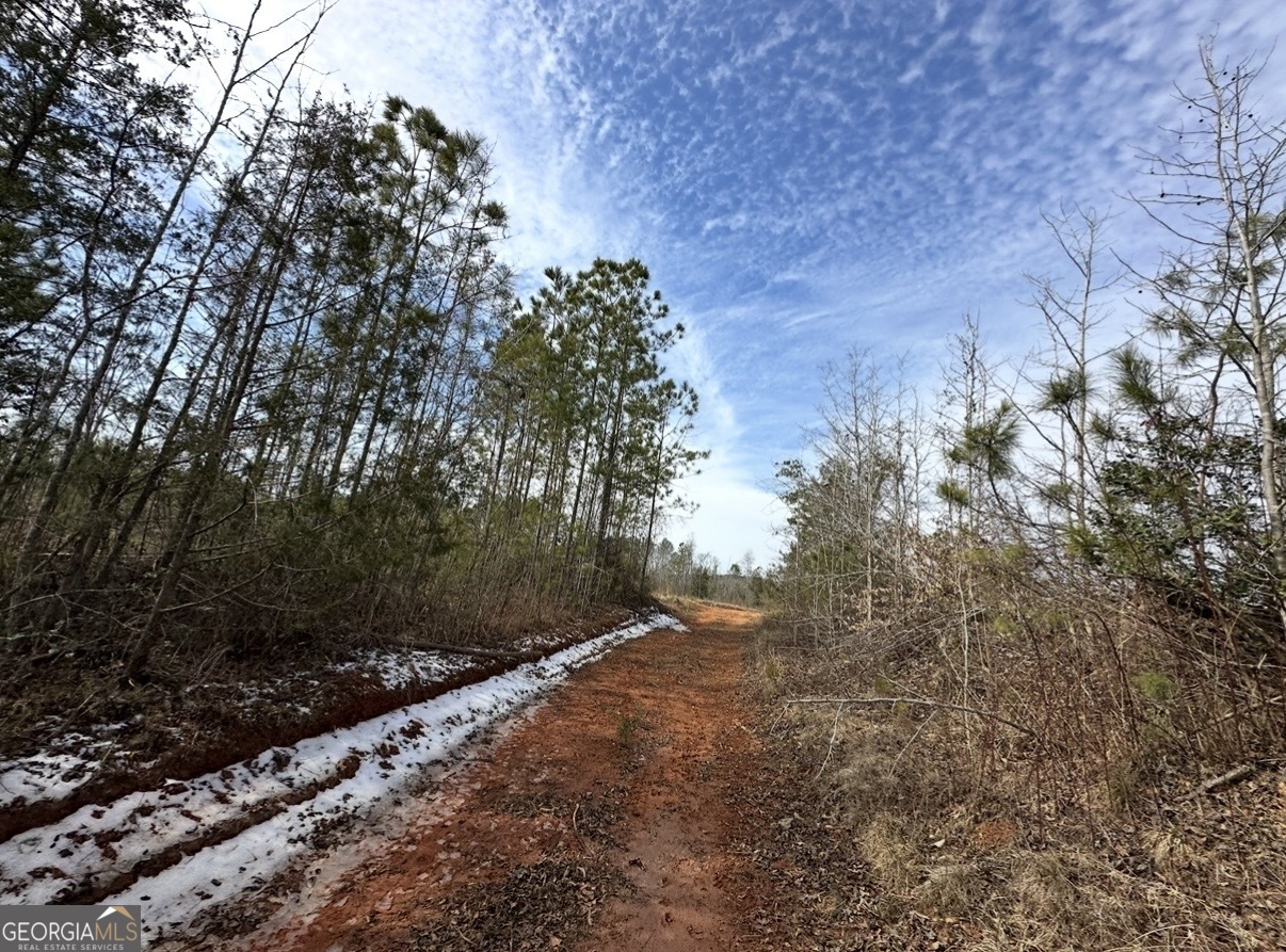 18 Turning Point Way Elberton, GA 30635 - Photo 68 of 75