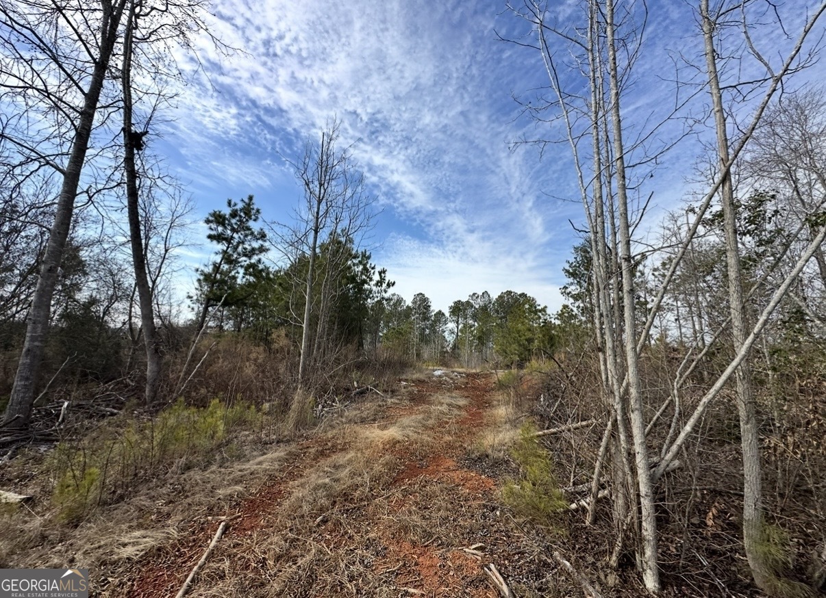 18 Turning Point Way Elberton, GA 30635 - Photo 69 of 75