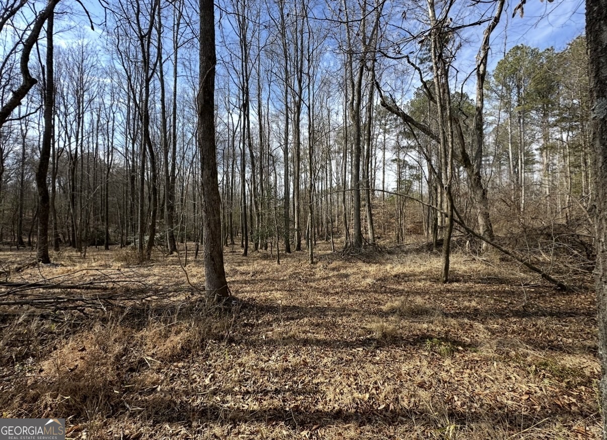 18 Turning Point Way Elberton, GA 30635 - Photo 71 of 73 a view of outdoor space with trees