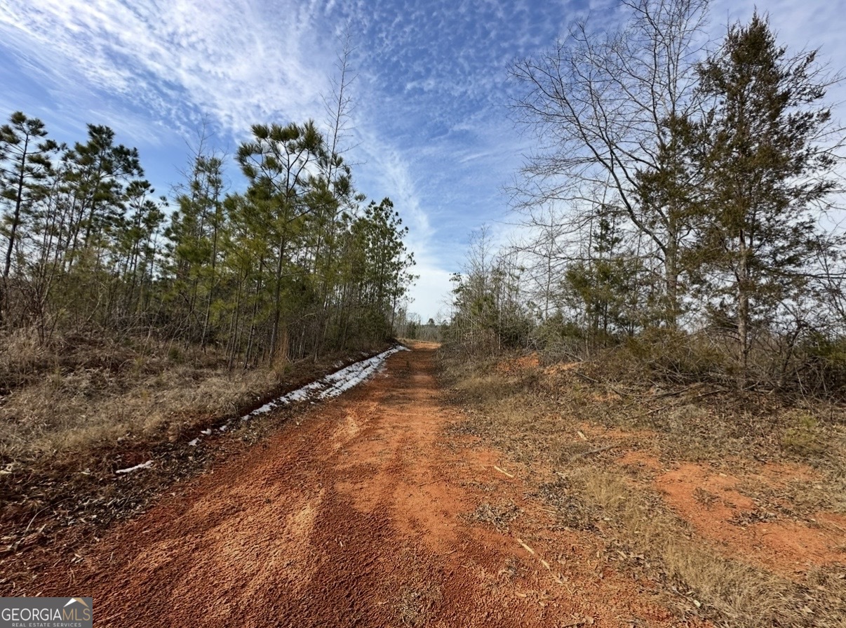 18 Turning Point Way Elberton, GA 30635 - Photo 71 of 75