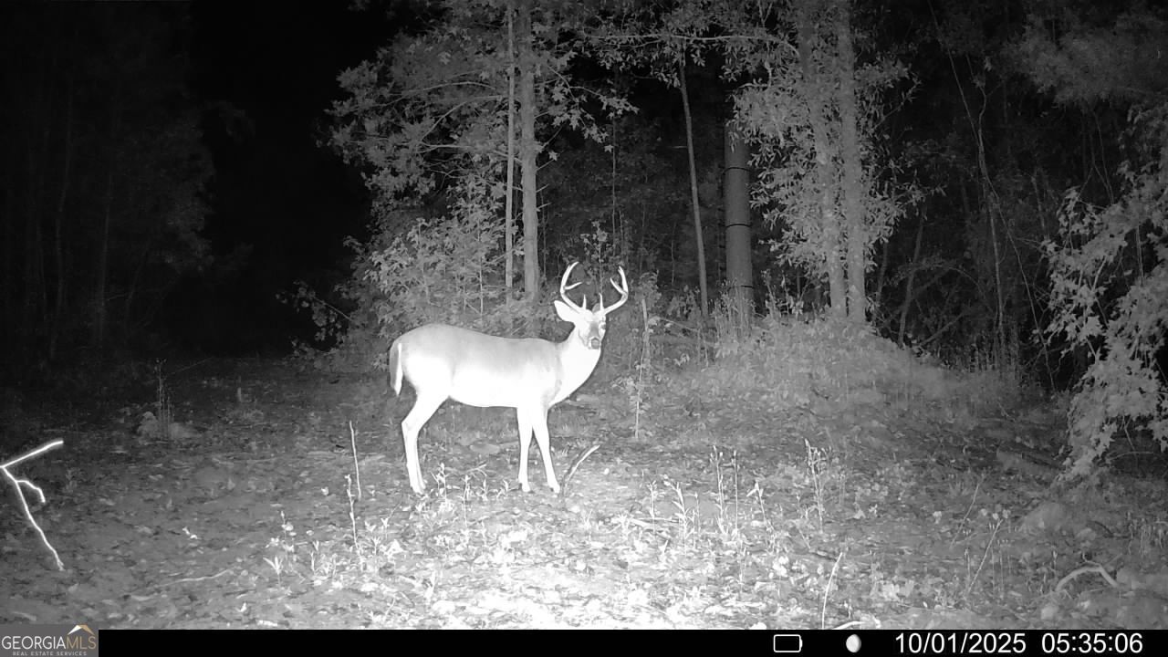 18 Turning Point Way Elberton, GA 30635 - Photo 73 of 75