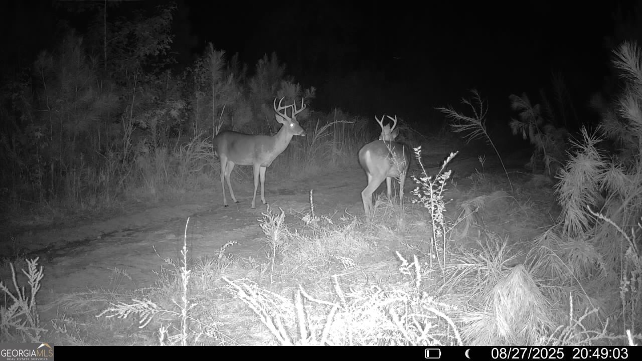 18 Turning Point Way Elberton, GA 30635 - Photo 73 of 73