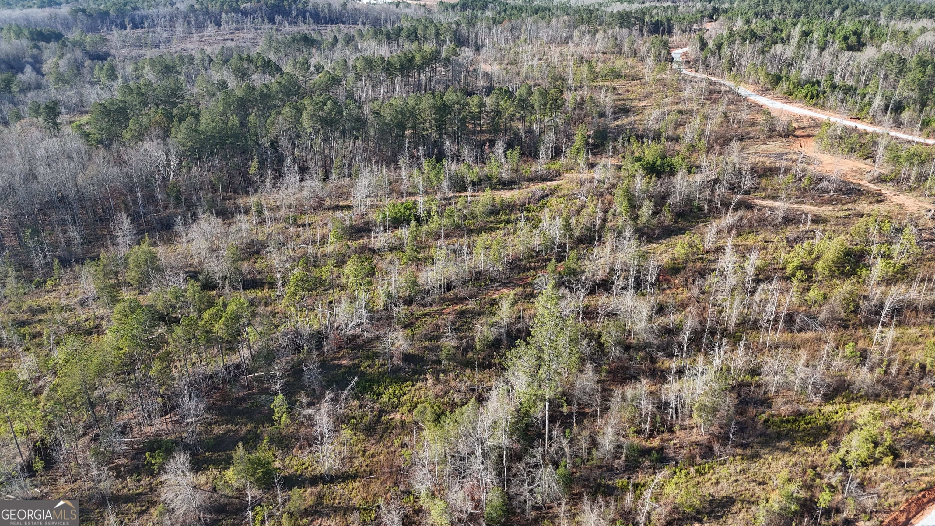 18 Turning Point Way Elberton, GA 30635 - Photo 8 of 73 a view of a forest with a tree