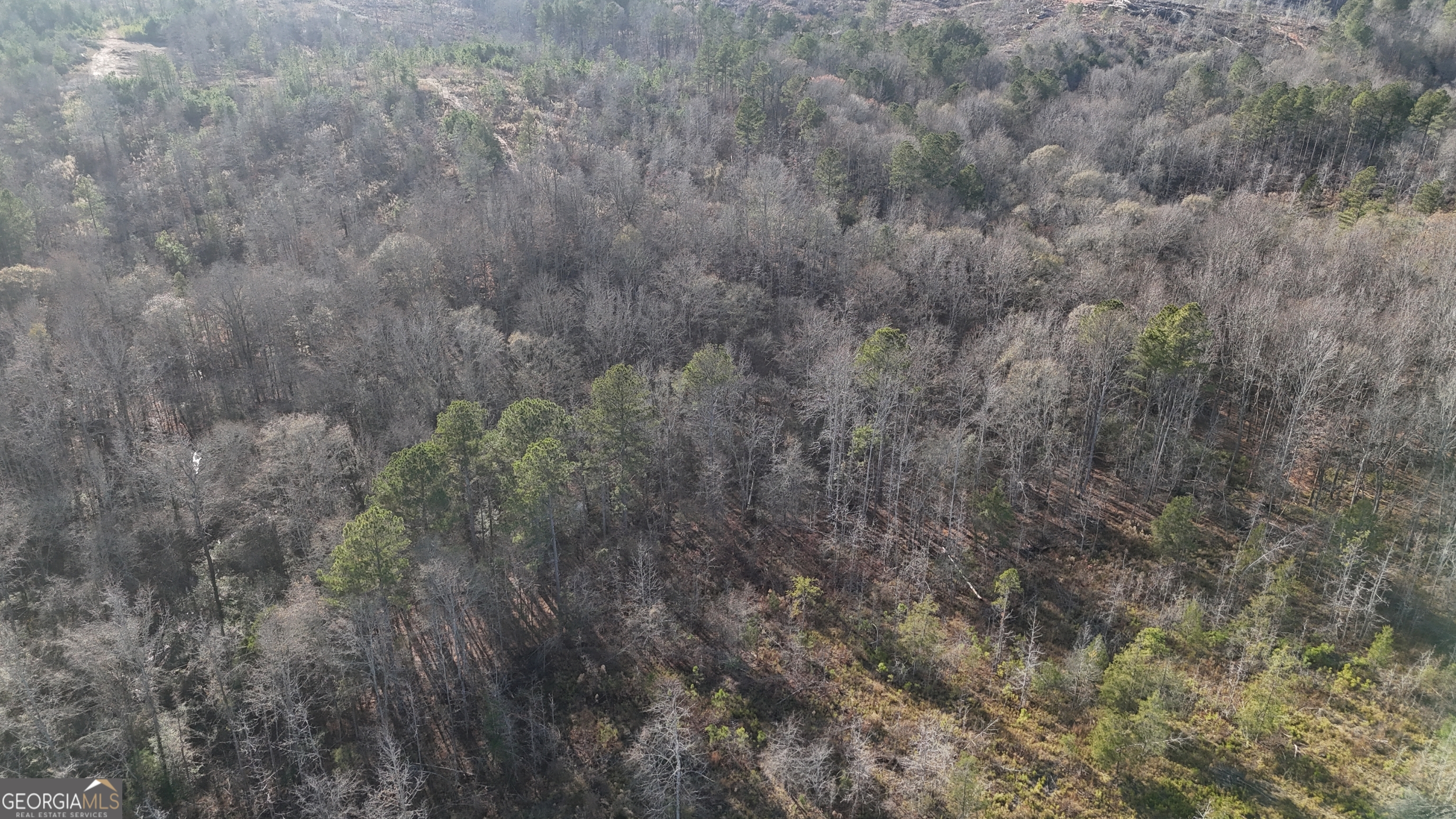 18 Turning Point Way Elberton, GA 30635 - Photo 9 of 73 a view of a dry yard