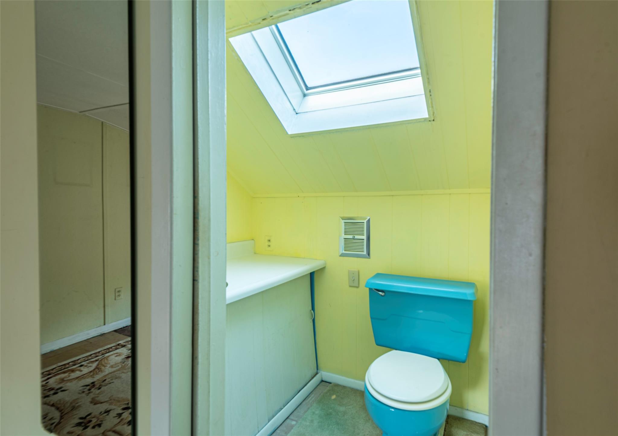 2 Florence Street Baldwin, NY 11510 - Photo 28 of 38 Bathroom with a skylight and vaulted ceiling