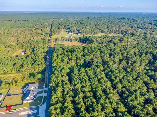 a view of a city with lush green forest