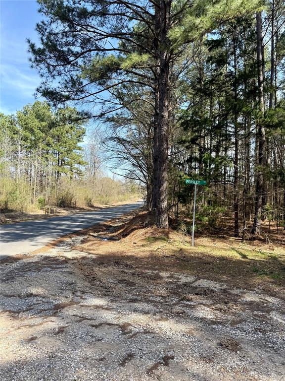 0 Stanley Road Stonewall, LA 71078 - Photo 18 of 26 a view of dirt yard with a large tree