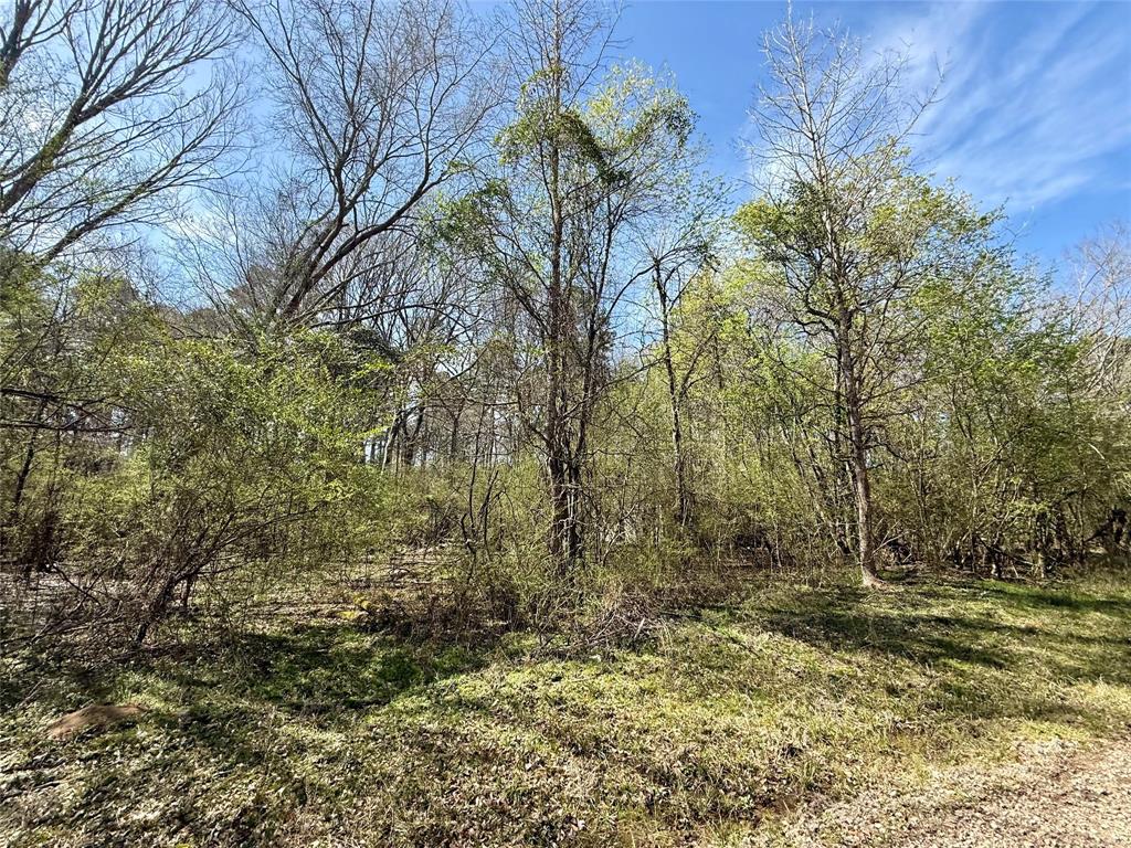 0 Stanley Road Stonewall, LA 71078 - Photo 22 of 26 a view of a yard