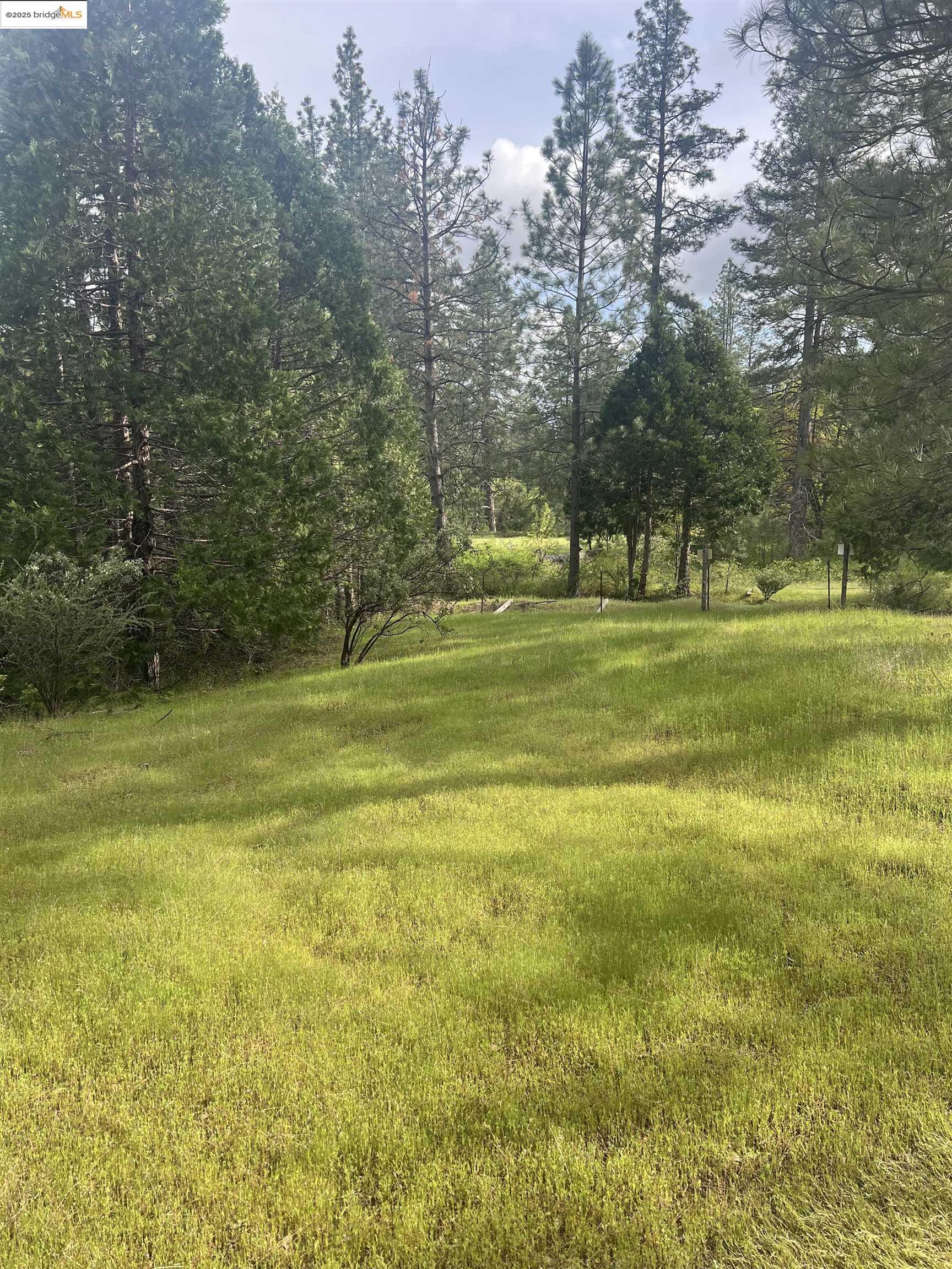 a view of a swimming pool with a big yard and large trees