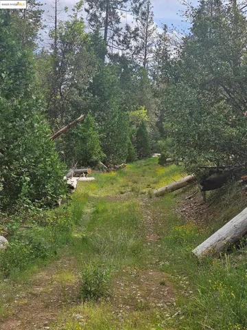 a view of outdoor space and yard