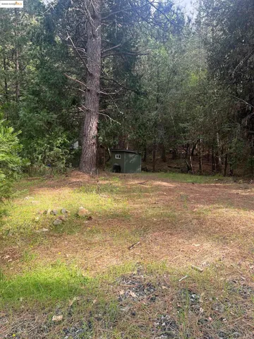 a view of a yard with a tree