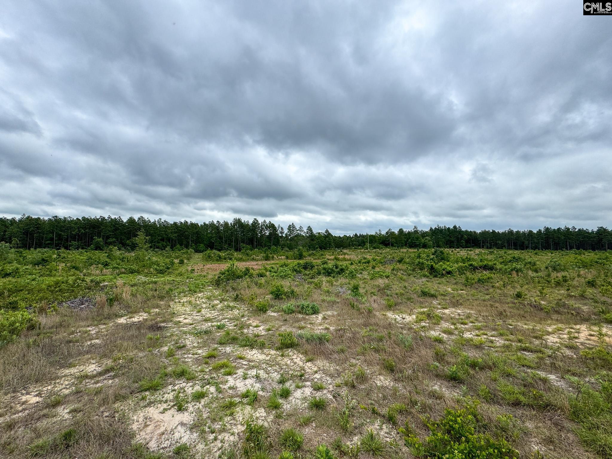 0 Neely Wingard Road, Unit LOT 1 Leesville, SC 29070 - Photo 3 of 8