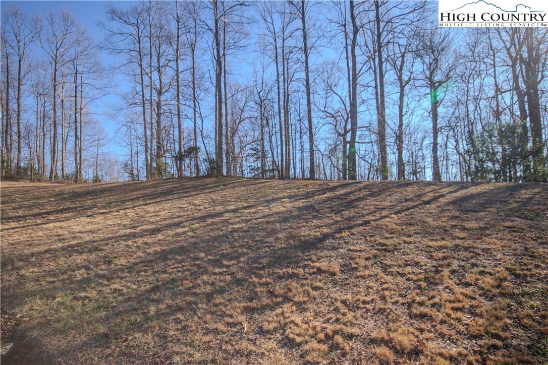 2223 Nighthawk Ridge Court Lenoir, NC 28645 - Photo 2 of 8