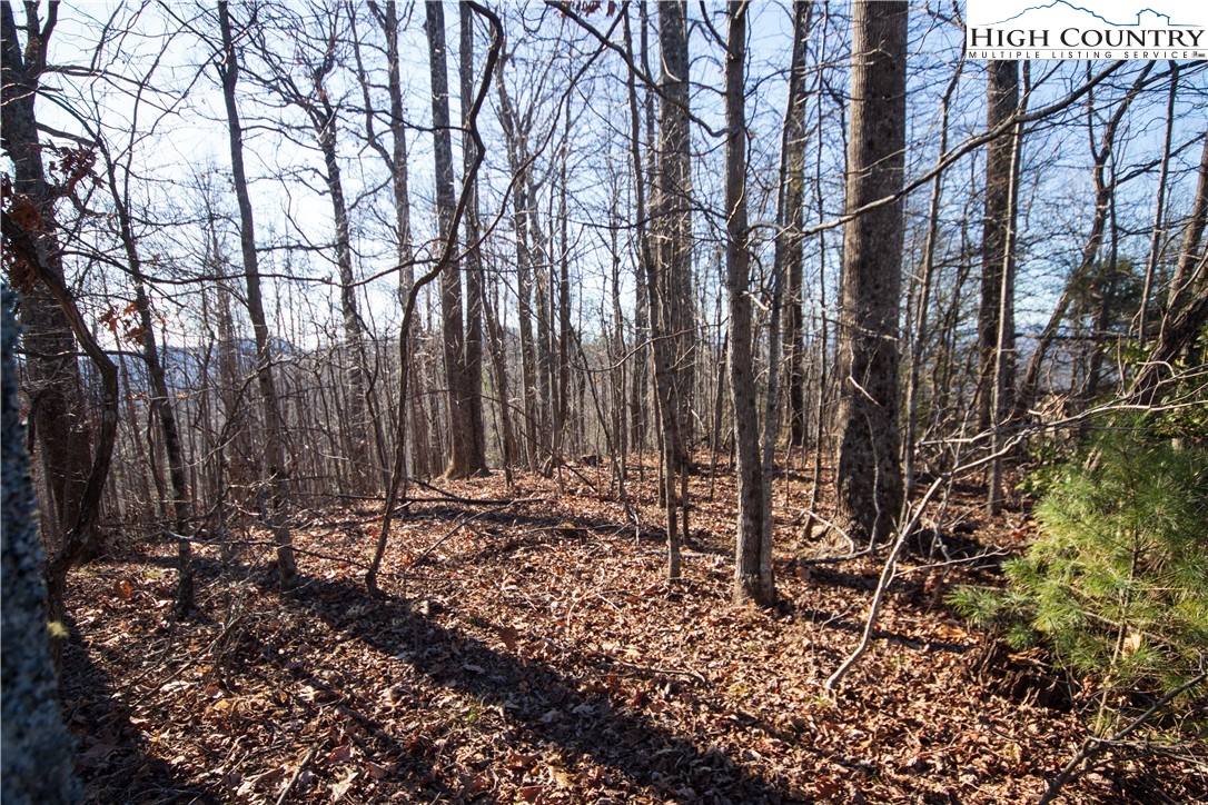 2223 Nighthawk Ridge Court Lenoir, NC 28645 - Photo 3 of 8