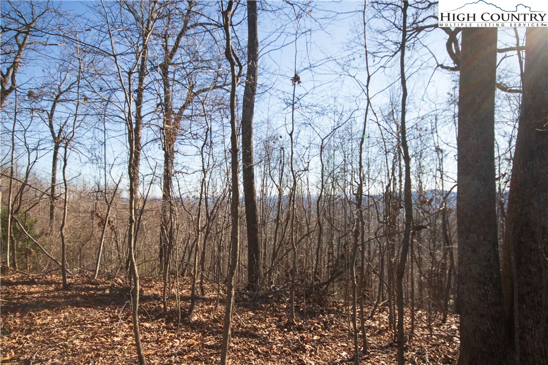 2223 Nighthawk Ridge Court Lenoir, NC 28645 - Photo 4 of 8