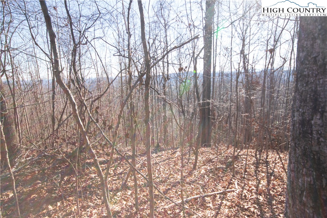 2223 Nighthawk Ridge Court Lenoir, NC 28645 - Photo 5 of 8