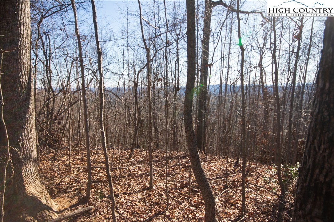 2223 Nighthawk Ridge Court Lenoir, NC 28645 - Photo 6 of 8