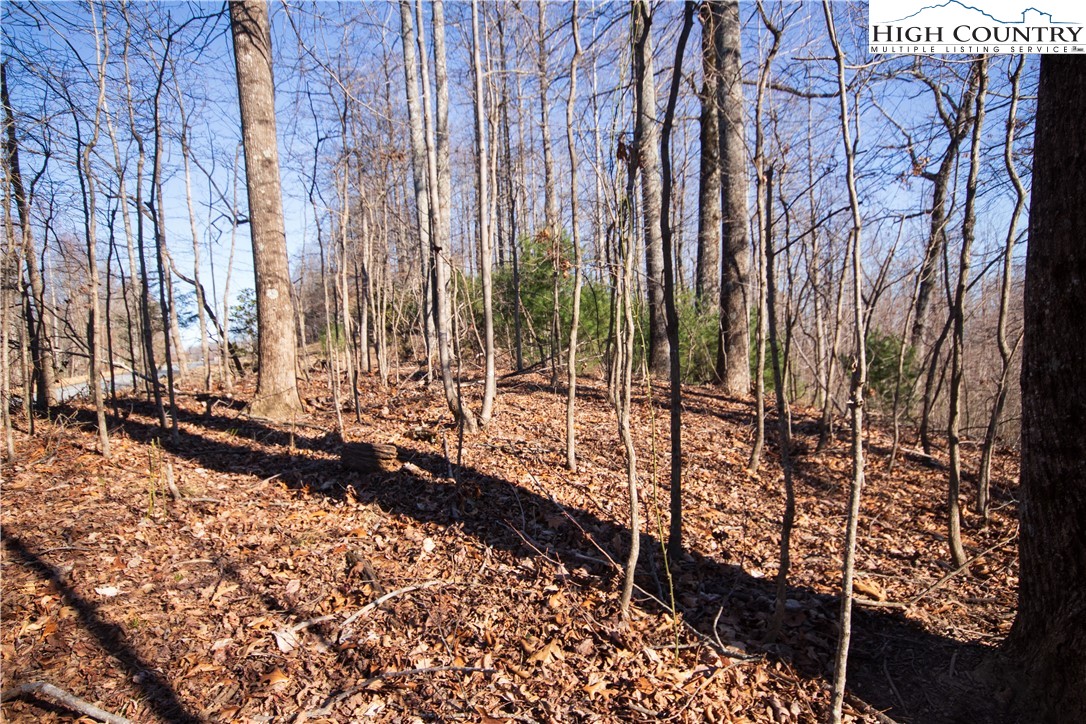 2223 Nighthawk Ridge Court Lenoir, NC 28645 - Photo 7 of 8