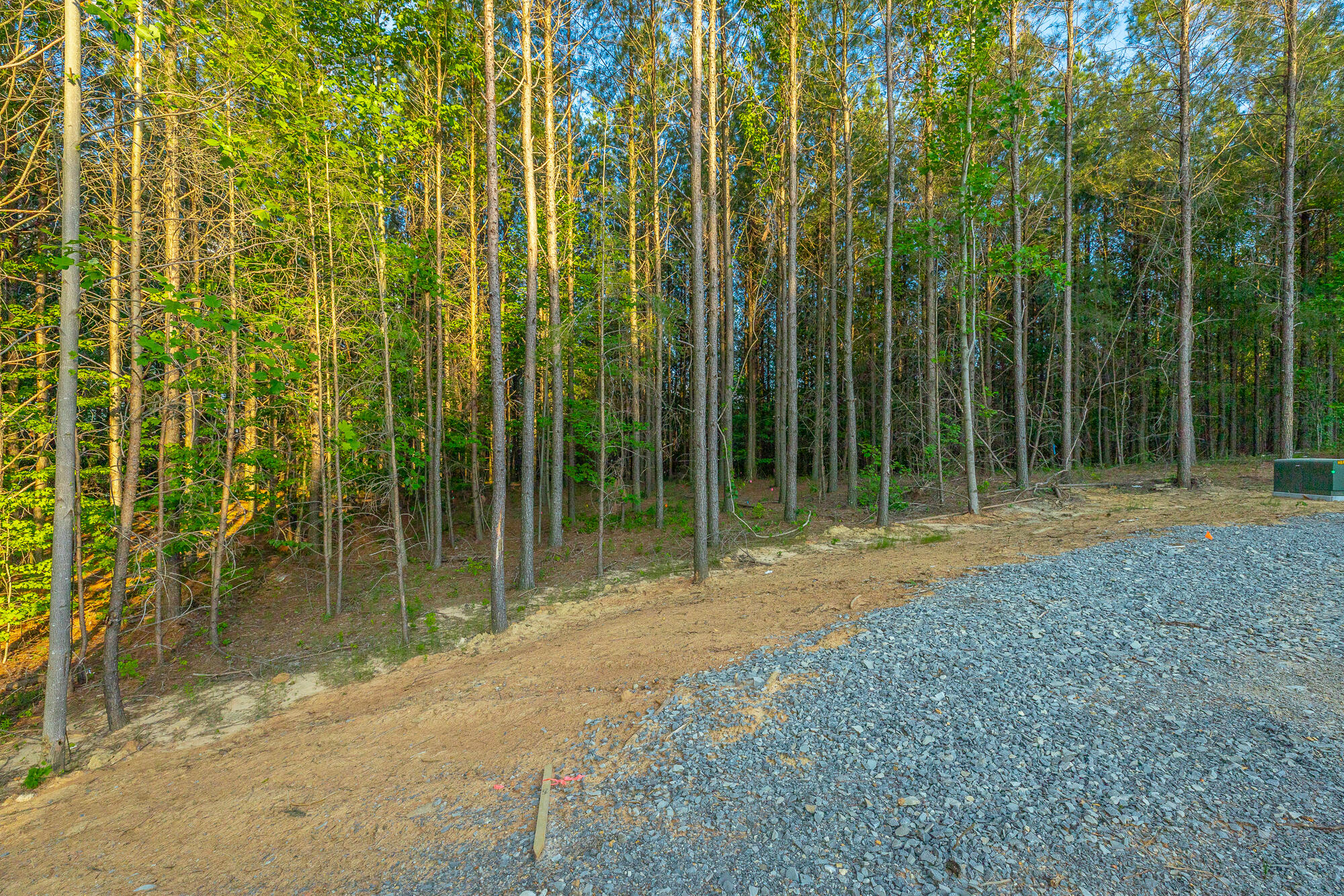 0 Back Basin Trail, Unit LOT 1244 Chattanooga, TN 37419 - Photo 41 of 119 0 Back Basin Trail - Lot 1244 HD-50
