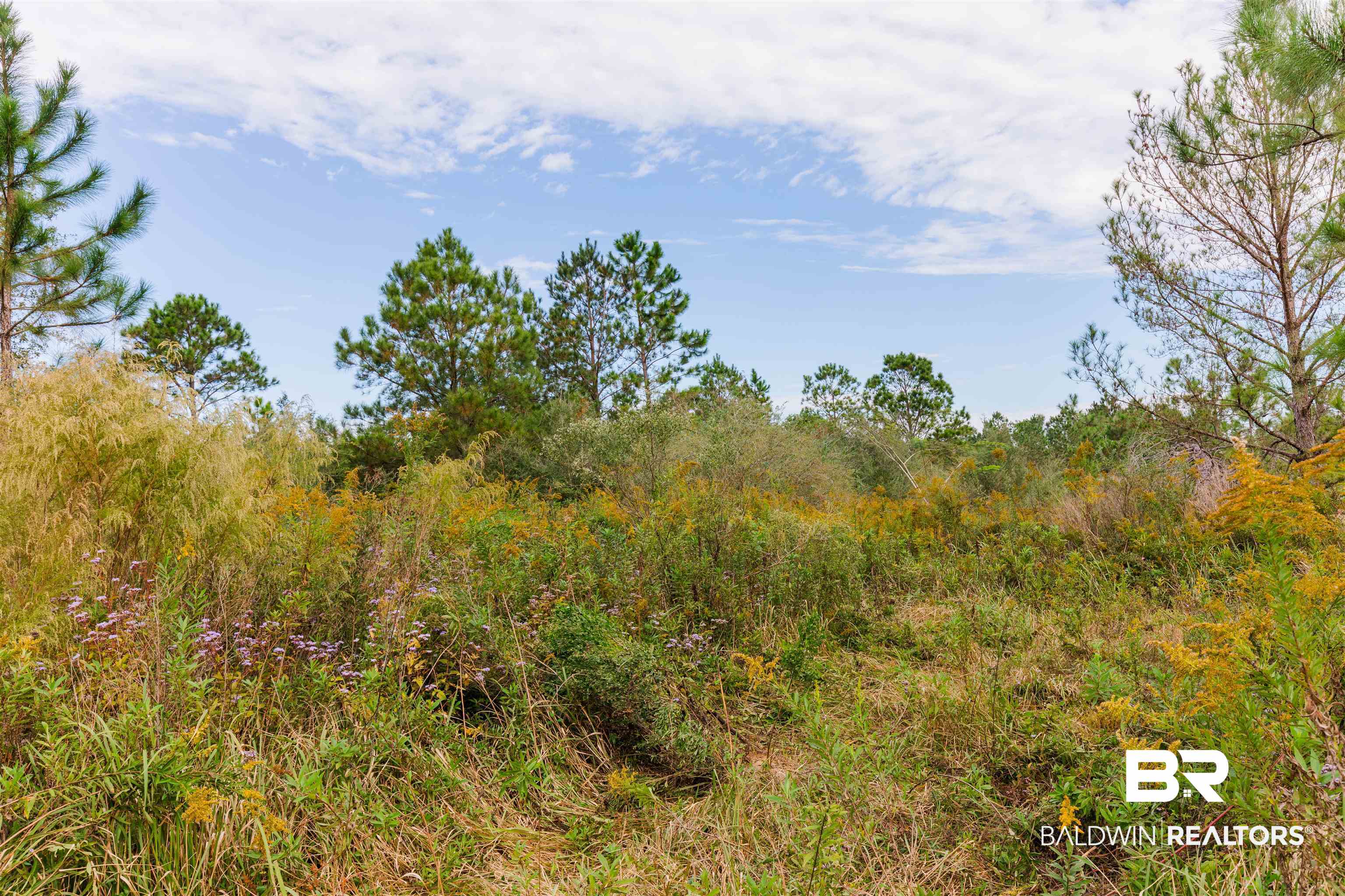 20679 Fred Dugger Road Summerdale, AL 36580 - Photo 2 of 7