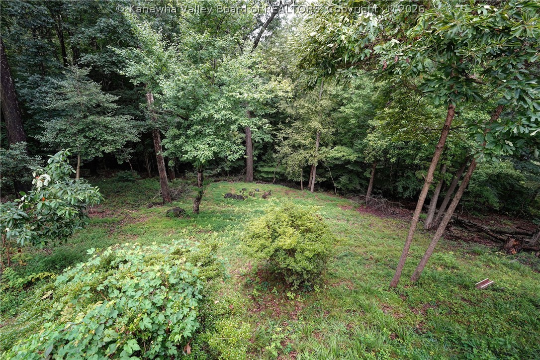707 Laurel Road Charleston, WV 25314 - Photo 28 of 30 Wooded lot with fire pit area.