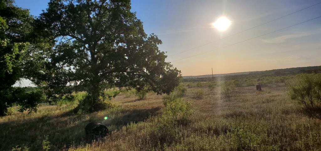 a view of a field of grass and trees