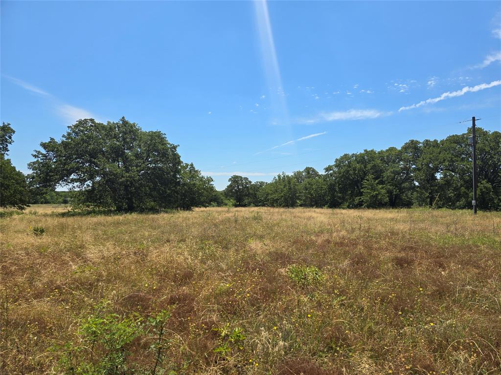 956 Cr-1990 Chico, TX 76431 - Photo 4 of 10 a view of lake and mountain view