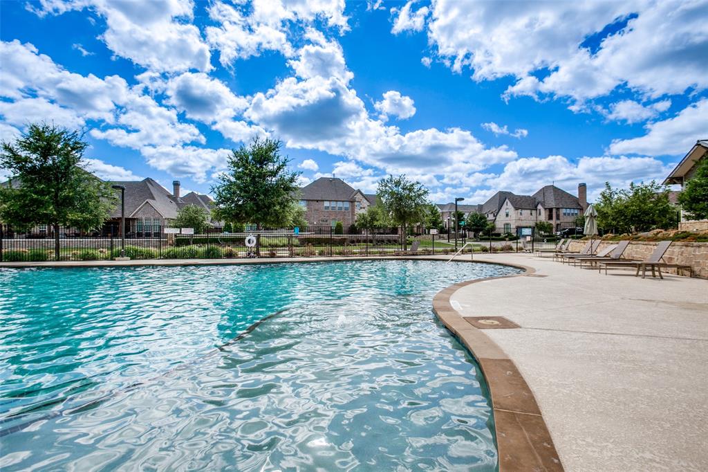 1006 Emil Place Allen, TX 75013 - Photo 24 of 28 Curved swimming pool with a stone coping and a concrete surround