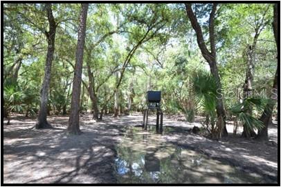 7019 Crooked Creek Lane Zolfo Springs, FL 33890 - Photo 2 of 51 a view of outdoor space with deck
