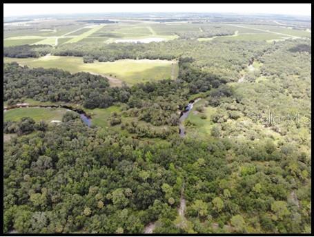 7019 Crooked Creek Lane Zolfo Springs, FL 33890 - Photo 25 of 51 a view of ocean view with wooden floor