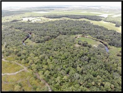7019 Crooked Creek Lane Zolfo Springs, FL 33890 - Photo 26 of 51 a view of an ocean view