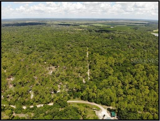7019 Crooked Creek Lane Zolfo Springs, FL 33890 - Photo 28 of 51 a view of beach with an outdoor space