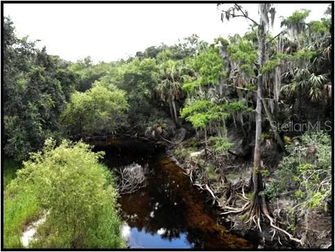 a view of outdoor space with garden