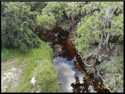 7019 Crooked Creek Lane Zolfo Springs, FL 33890 - Photo 31 of 51 a picture of trees
