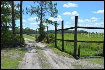 a view of a field with an trees