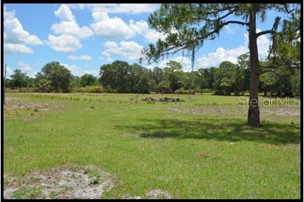 7019 Crooked Creek Lane Zolfo Springs, FL 33890 - Photo 37 of 51 a view of a field with an trees